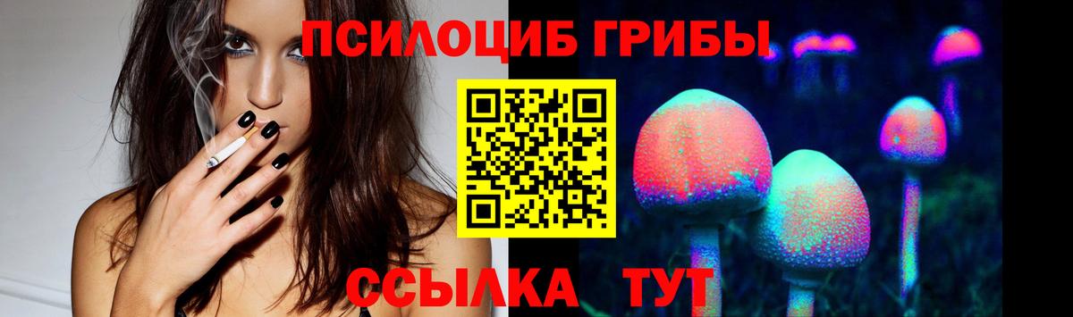 Славянск-на-Кубани  Псилоцибиновые грибы Psilocybine cubensis  как найти наркотики  Вход с VPN 